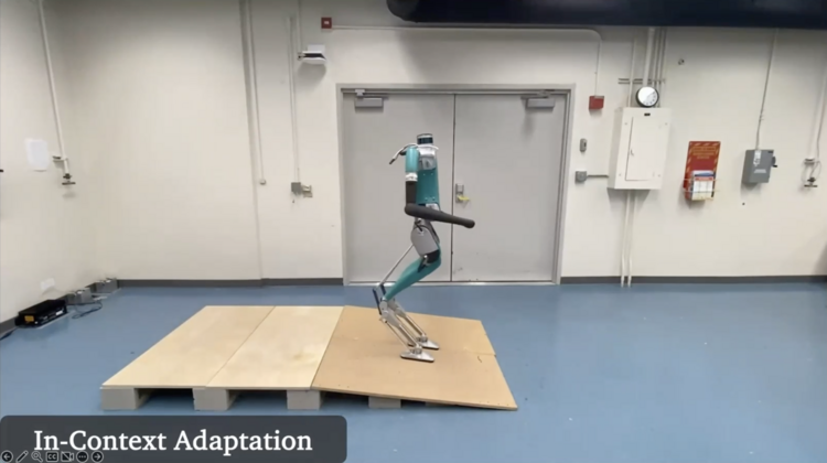 The Future of Intelligent Robots: Insights from Professor Jitendra Malik
